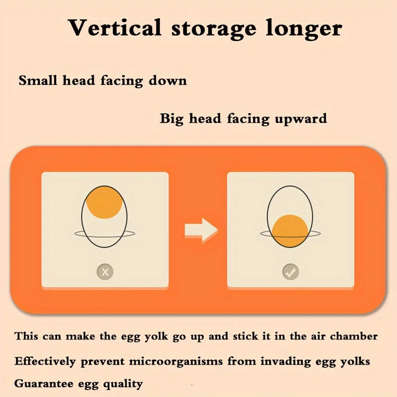Two-Layer Refrigerator Egg Storage Box