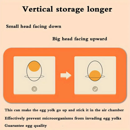 Two-Layer Refrigerator Egg Storage Box